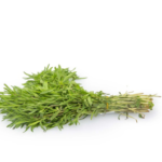 Zaatar Seeds – زعتر